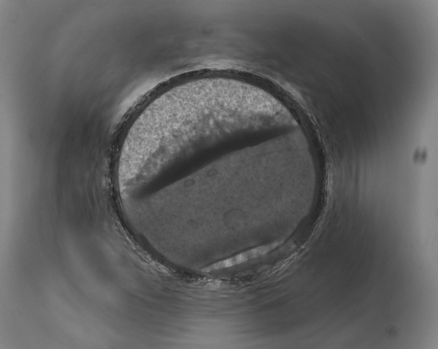 X0000114581263200911161301