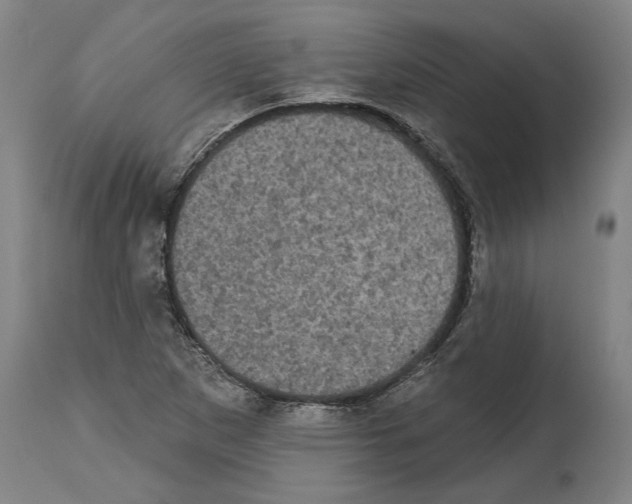 X0000114581265200911161301