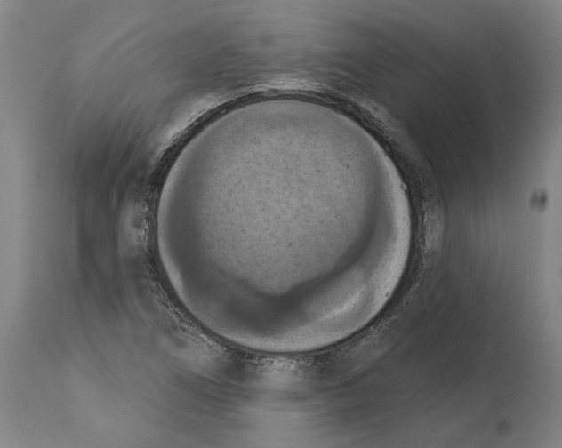 X0000114581266200911161301