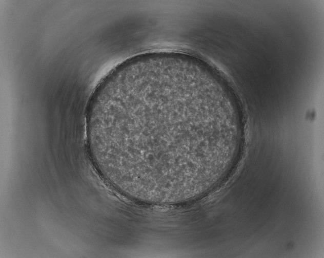 X0000114581267200911161301