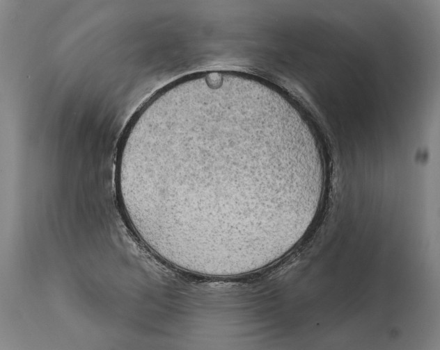 X0000114581268200911161301