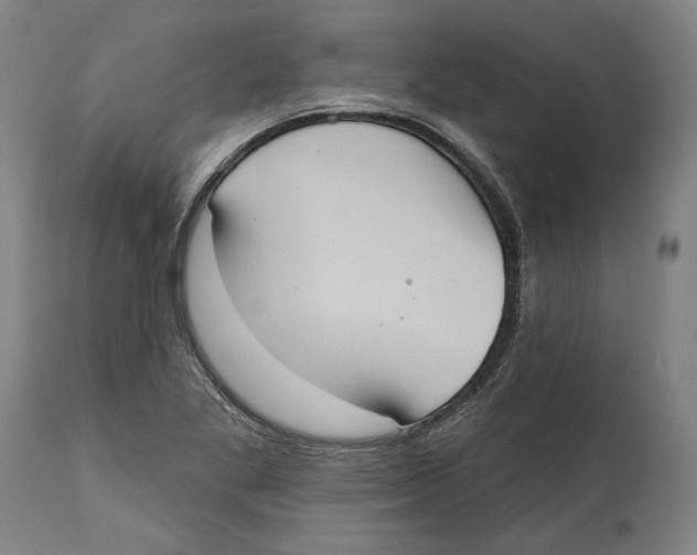 X0000114581269200911161301