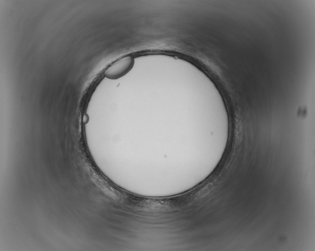 X0000114581270200911161301