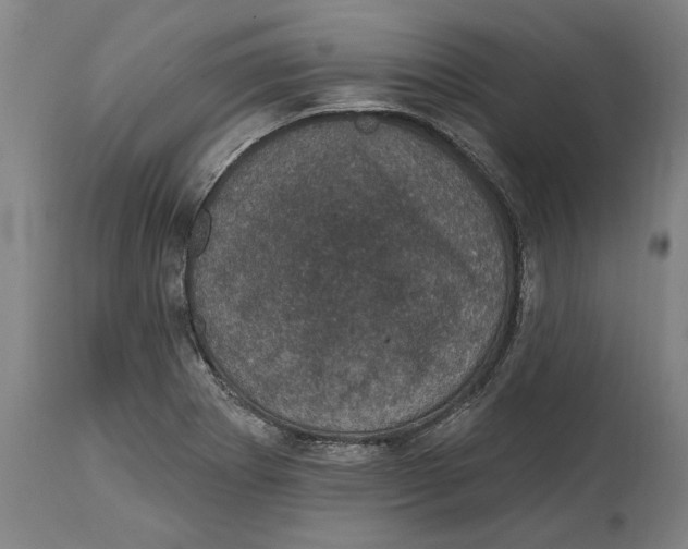 X0000114581273200911161301