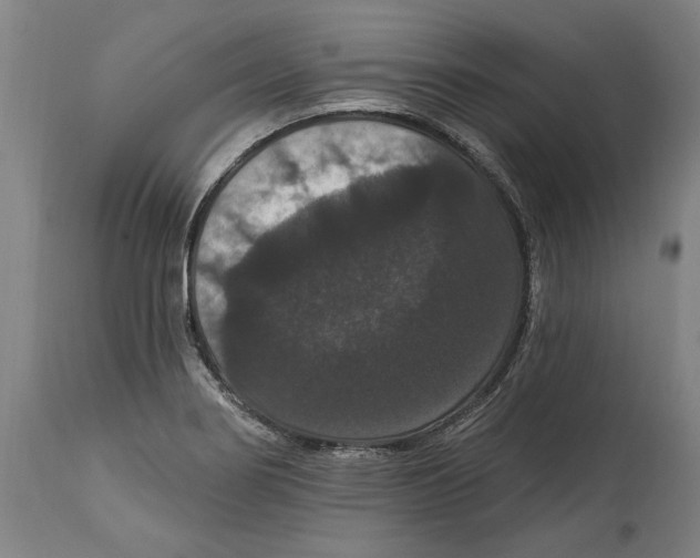 X0000114581274200911161301