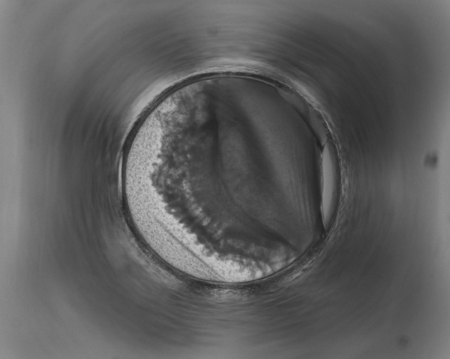 X0000114581275200911161301