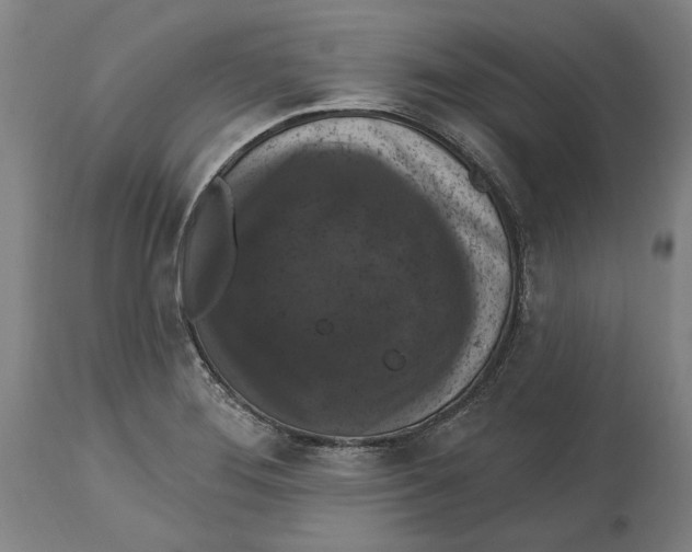 X0000114581276200911161301