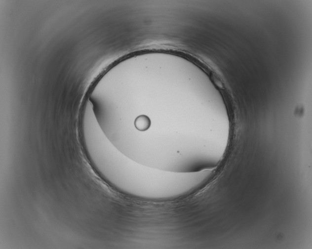 X0000114581277200911161301