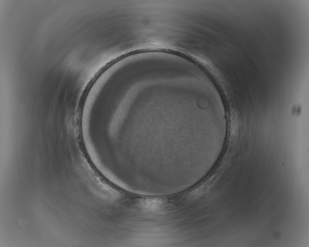 X0000114581278200911161301