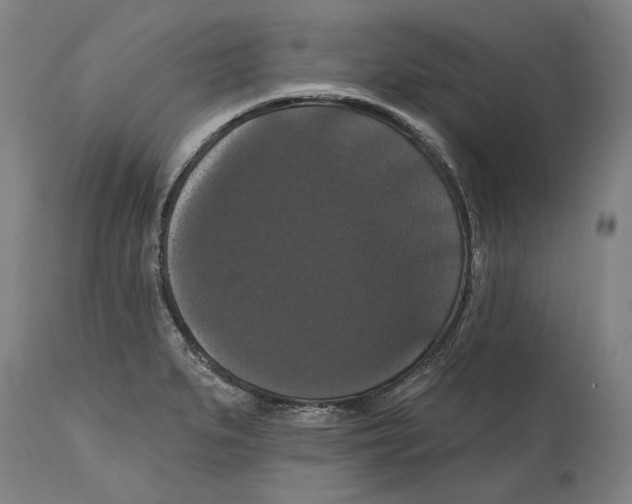 X0000114581279200911161301