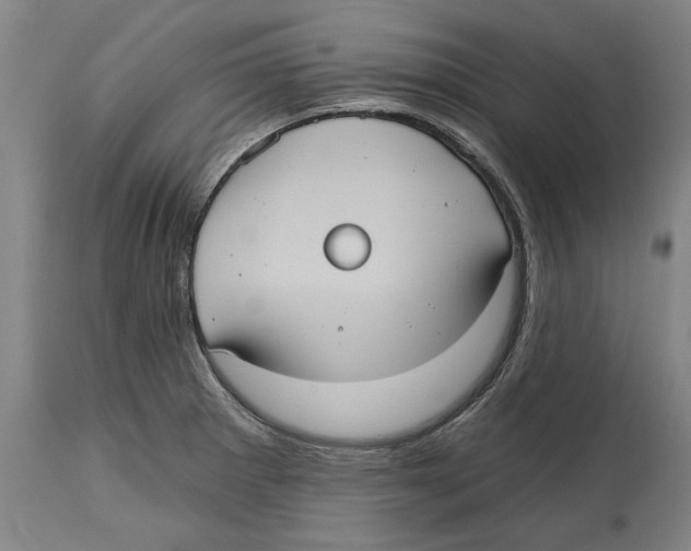 X0000114581281200911161301