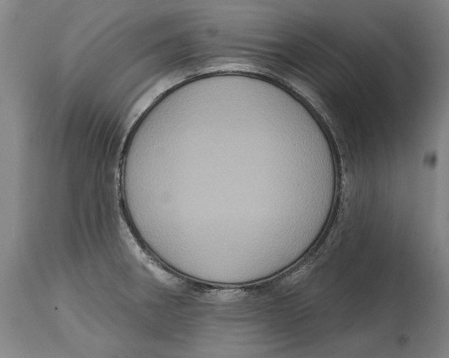 X0000114581282200911161301