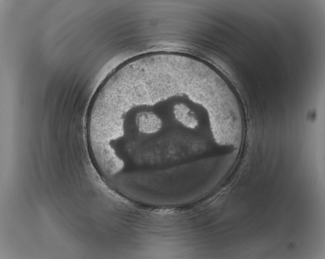 X0000114581283200911161301