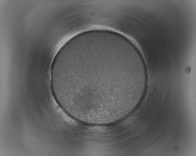 X0000114581287200911161301