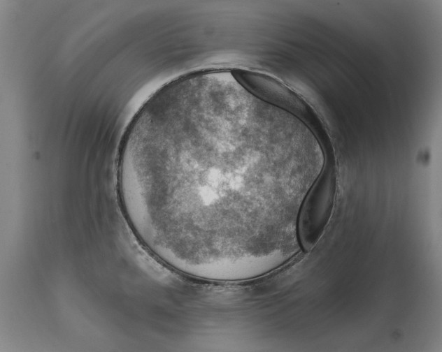 X0000114581288200911161301