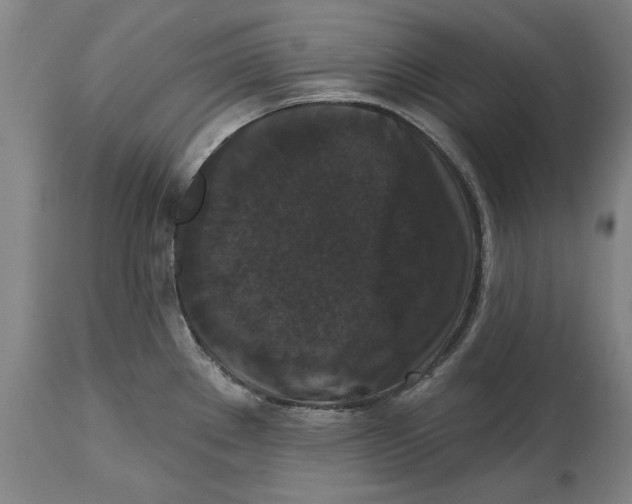 X0000114581289200911161301