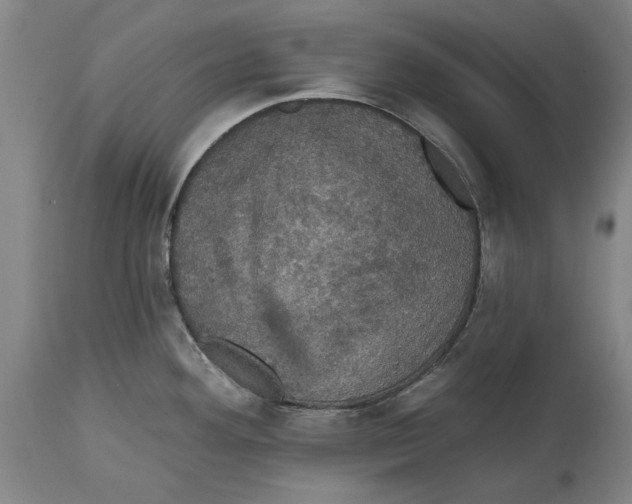 X0000114581292200911161301