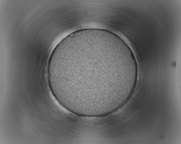 X0000114581293200911161301