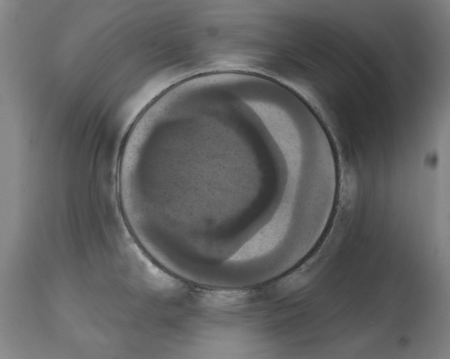 X0000114581294200911161301