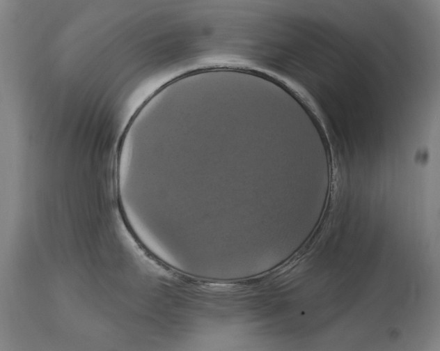 X0000114581295200911161301