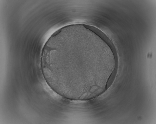 X0000114581296200911161301