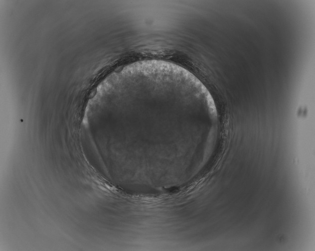 X0000114581297200911161300