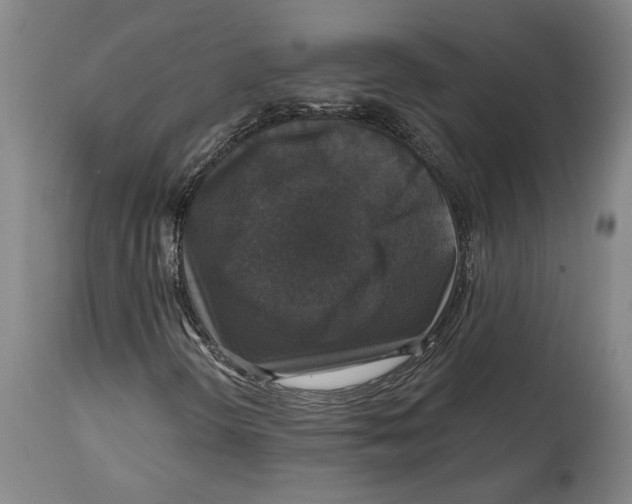 X0000114581298200911161300