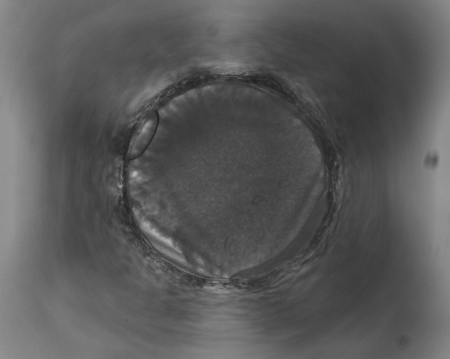 X0000114581301200911161300