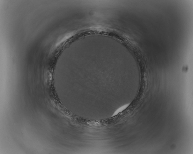 X0000114581302200911161300