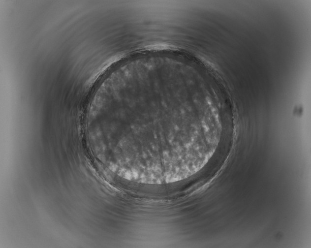 X0000114581305200911161300