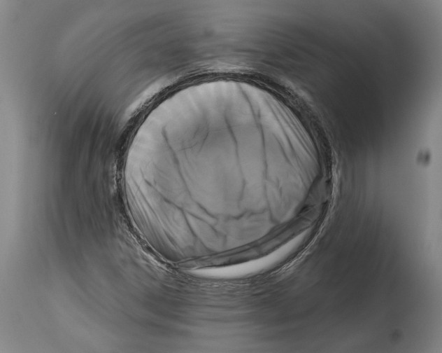 X0000114581306200911161300