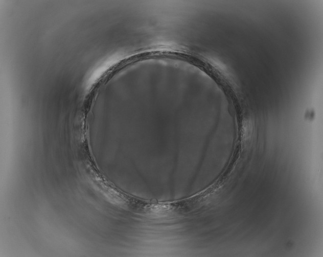 X0000114581310200911161300