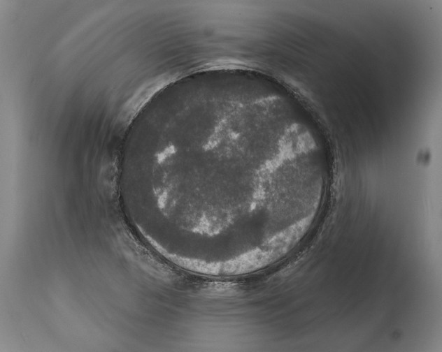 X0000114581313200911161300