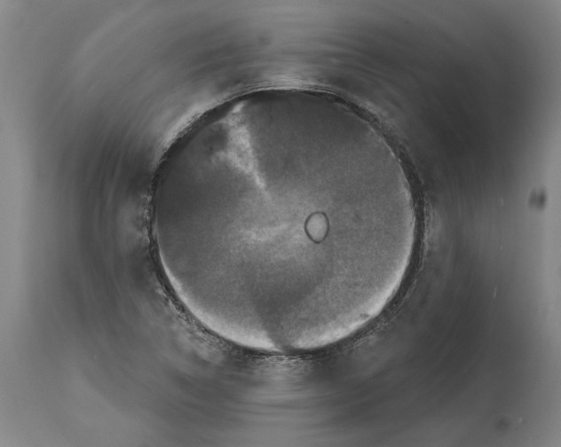 X0000114581314200911161300