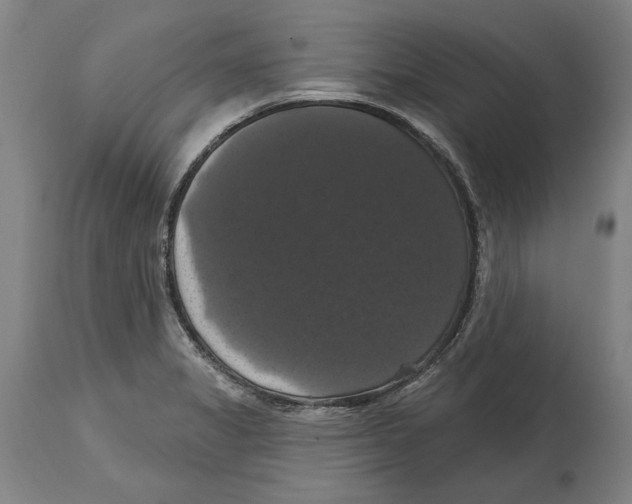 X0000114581325200911161300