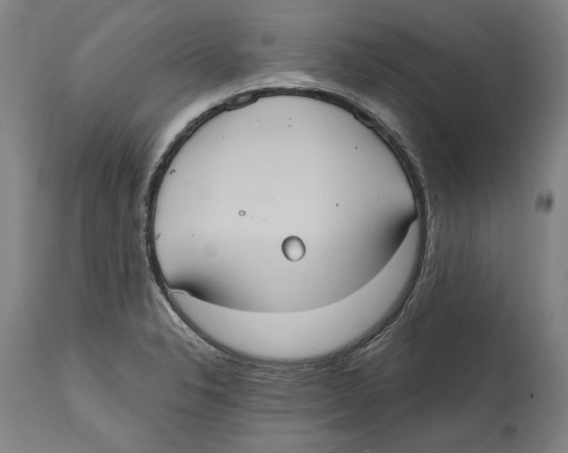 X0000114581326200911161300