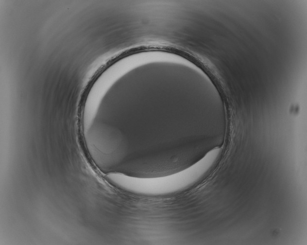 X0000114581327200911161300