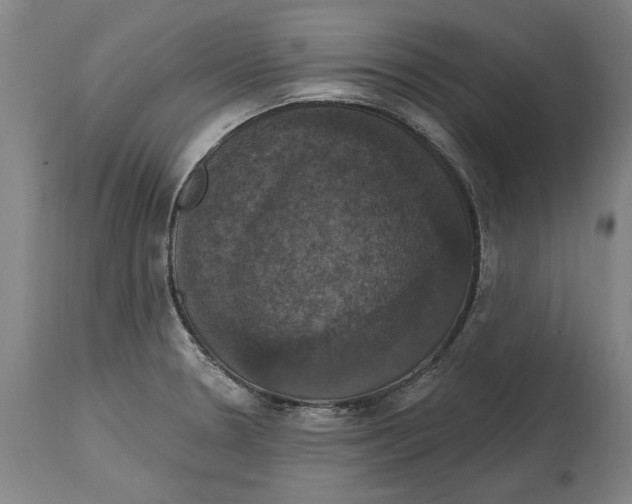 X0000114581330200911161300