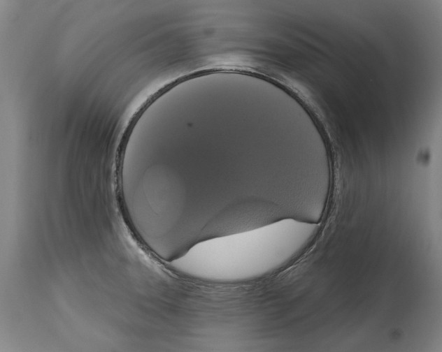 X0000114581331200911161300