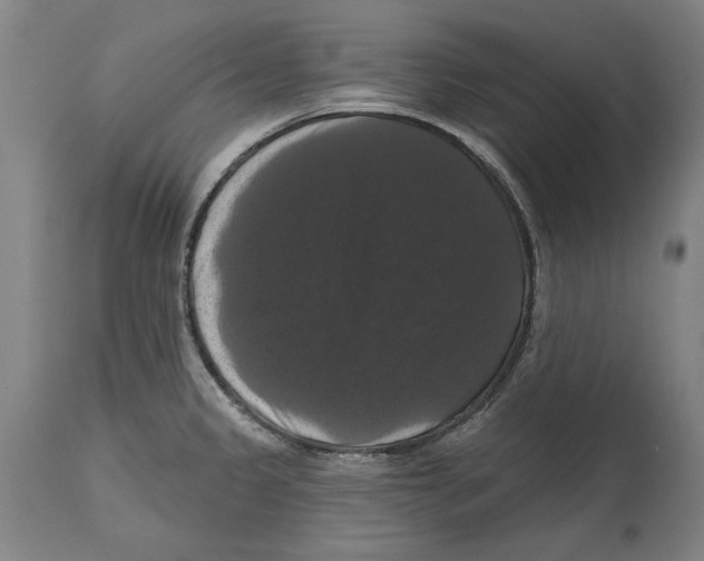 X0000114581333200911161300