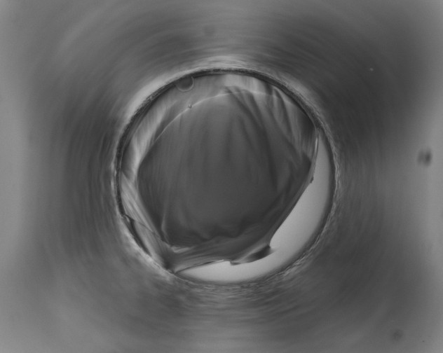 X0000114581334200911161301