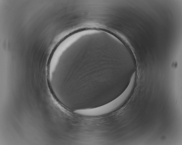 X0000114581335200911161301