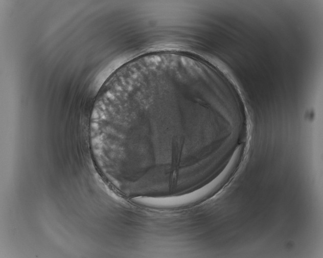 X0000114581337200911161301