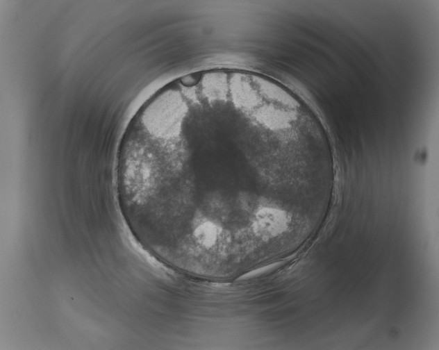 X0000114581339200911161301