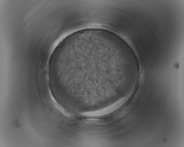 X0000114581342200911161301