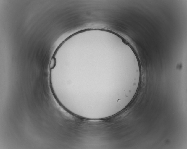 X0000114581343200911161301