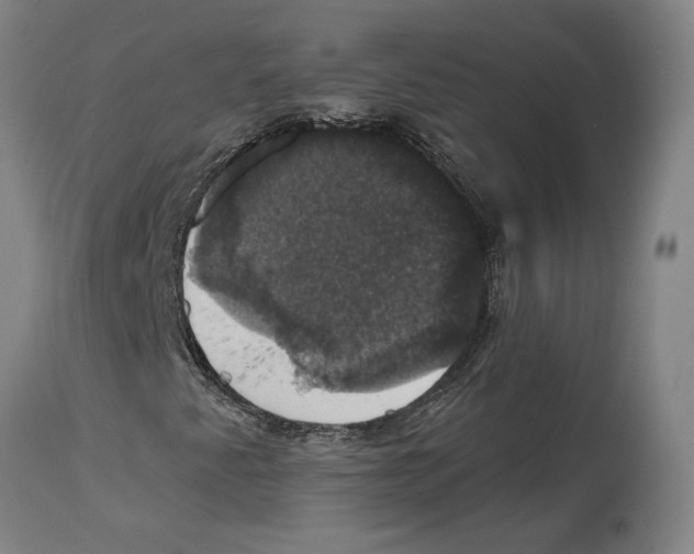 X0000114581345200911161300