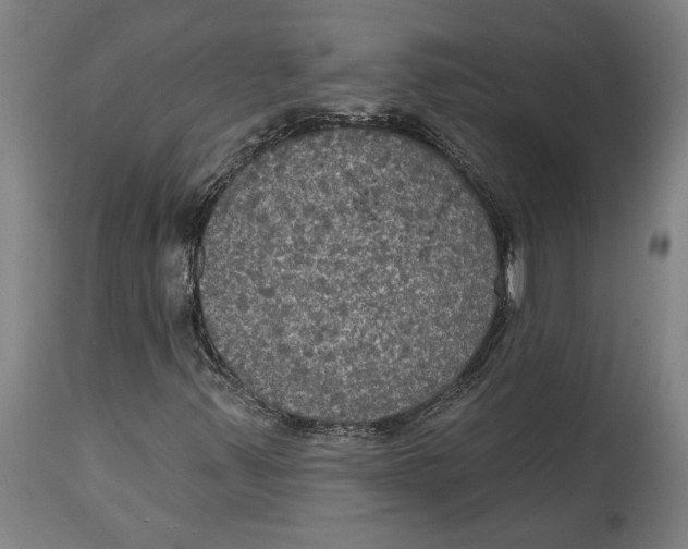 X0000114581347200911161300