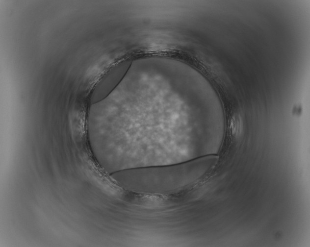 X0000114581348200911161300