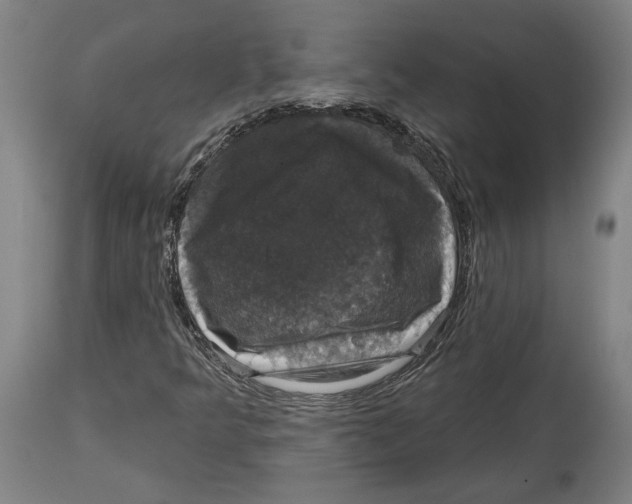 X0000114581349200911161300